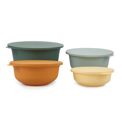 Set di contenitori per alimenti da 4 pezzi