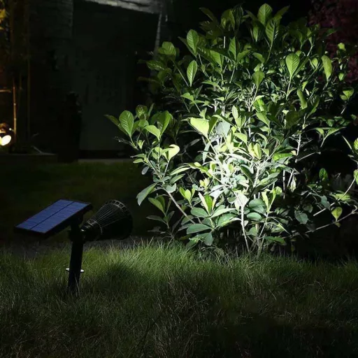 Set di luci decorative solari da esterno a 2 pezzi con luminosità regolabile e design resistente alle intemperie