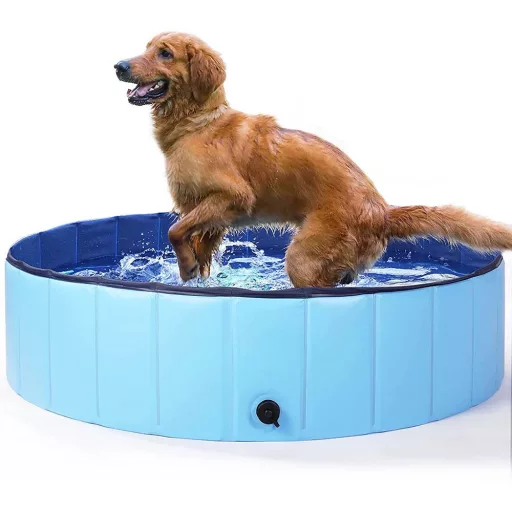 Piscina per cani con superficie antiscivolo - diametro 120 cm per divertimento rinfrescante estivo