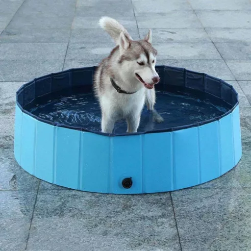 Piscina per cani con superficie antiscivolo - diametro 120 cm per divertimento rinfrescante estivo