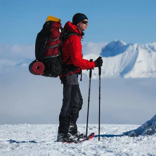 Bastoni da trekking telescopici regolabili con funzione anti-shock e 5 punte intercambiabili