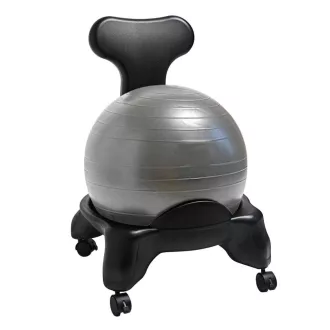   Sedia Fitness con Pallone da 55 cm e Pompa per Migliorare la Postura a Casa e in Ufficio