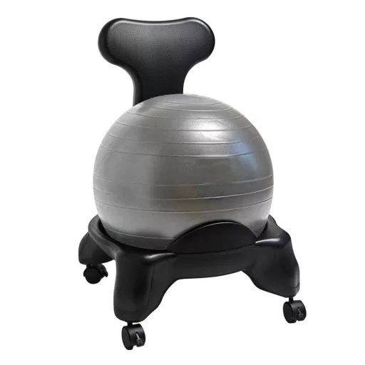 Sedia Fitness con Pallone da 55 cm e Pompa per Migliorare la Postura a Casa e in Ufficio