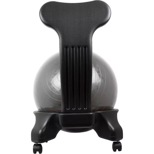 Sedia Fitness con Pallone da 55 cm e Pompa per Migliorare la Postura a Casa e in Ufficio