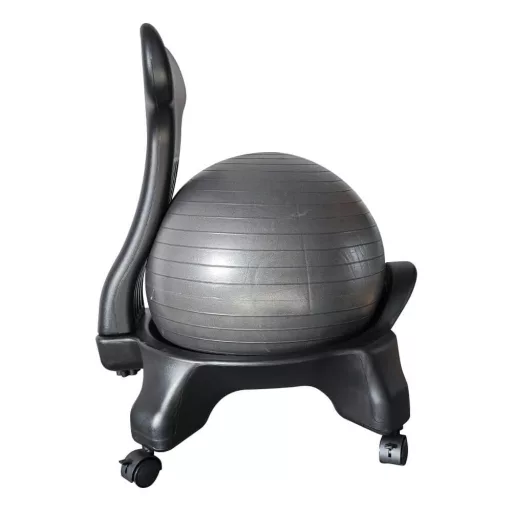 Sedia Fitness con Pallone da 55 cm e Pompa per Migliorare la Postura a Casa e in Ufficio