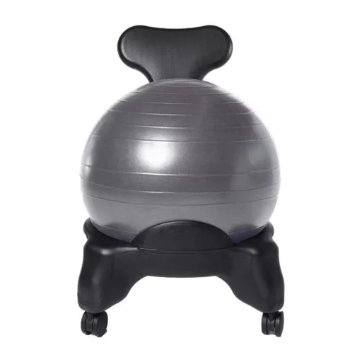 Sedia Fitness con Pallone da 55 cm e Pompa per Migliorare la Postura a Casa e in Ufficio