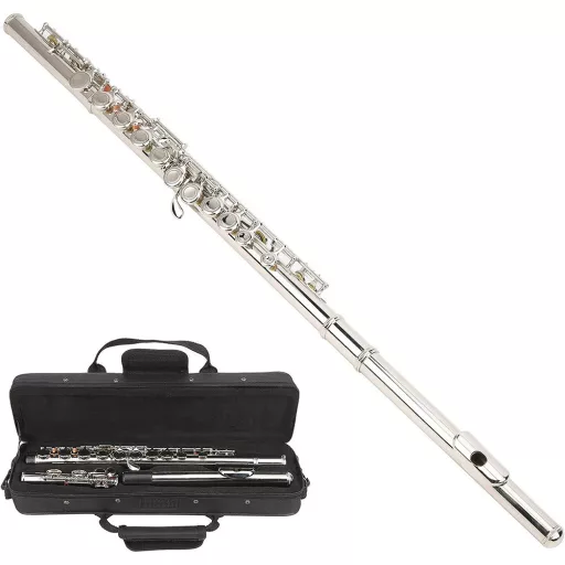 Set di flauti accordati in Do con custodia rigida e accessori per principianti e musicisti avanzati