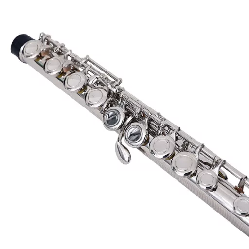 Set di flauti accordati in Do con custodia rigida e accessori per principianti e musicisti avanzati
