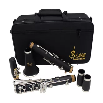   Clarinetto B-flat con accessori in custodia - Ideale per principianti e musicisti avanzati