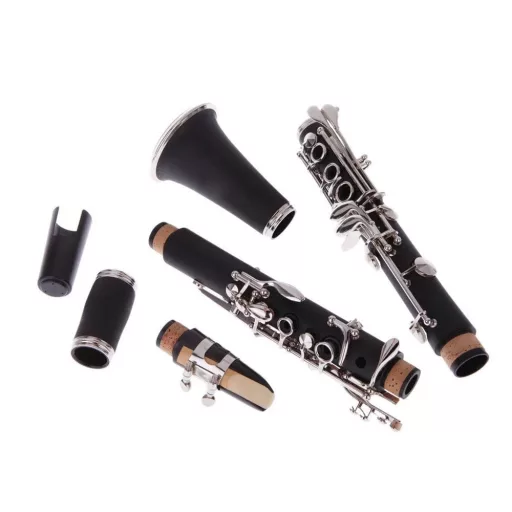Clarinetto B-flat con accessori in custodia - Ideale per principianti e musicisti avanzati