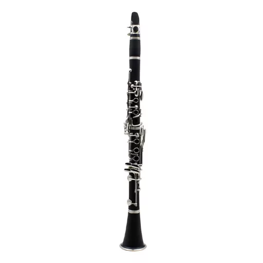 Clarinetto B-flat con accessori in custodia - Ideale per principianti e musicisti avanzati