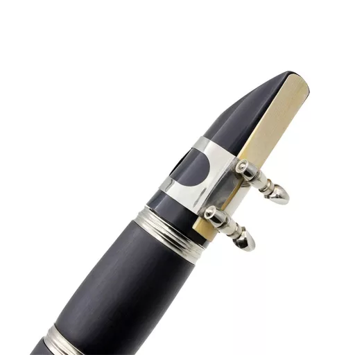 Clarinetto B-flat con accessori in custodia - Ideale per principianti e musicisti avanzati
