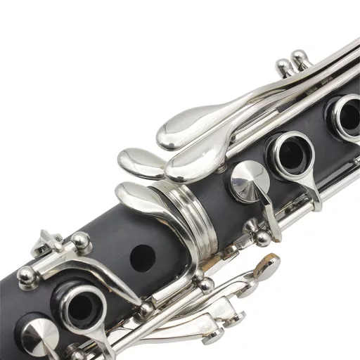 Clarinetto B-flat con accessori in custodia - Ideale per principianti e musicisti avanzati