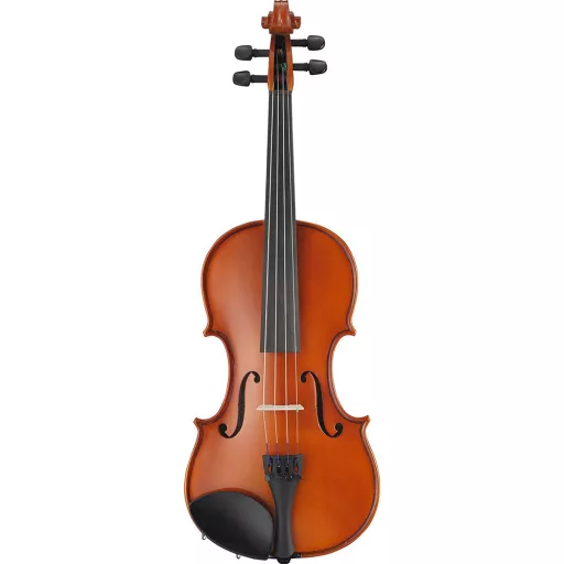 Set di violino acustico con custodia - Kit completo per principianti con arco e accessori