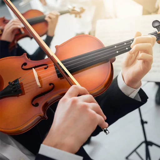 Set di violino acustico con custodia - Kit completo per principianti con arco e accessori