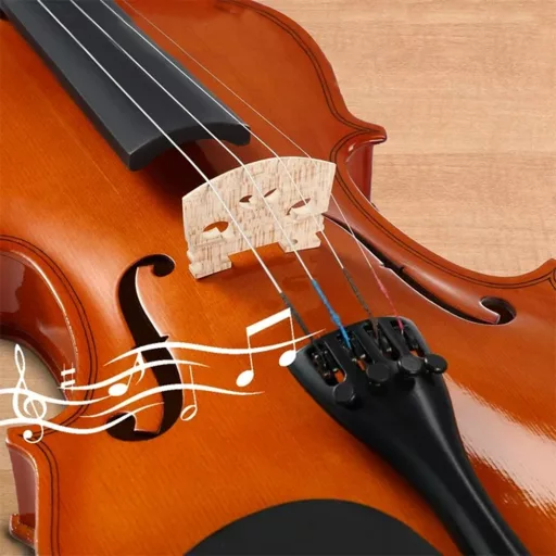 Set di violino acustico con custodia - Kit completo per principianti con arco e accessori