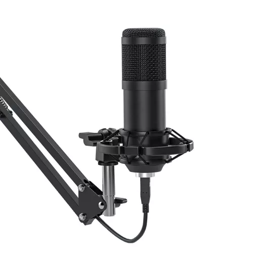 Microfono da studio USB con supporto regolabile e filtro anti-pop