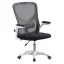 Sedia da ufficio ergonomica con braccioli regolabili e supporto lombare - capacità di 120 kg
