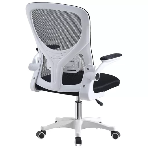 Sedia da ufficio ergonomica con braccioli regolabili e supporto lombare - capacità di 120 kg