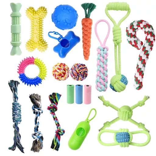 Set di giocattoli per cani da 20 pezzi per la cura dentale e il divertimento interattivo