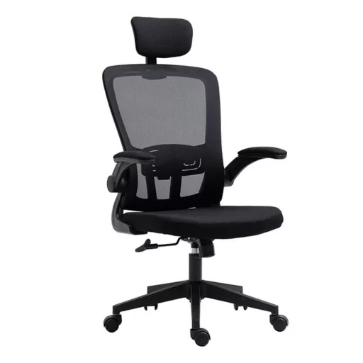 Sedia da ufficio ergonomica con supporto lombare e poggiatesta - Nera