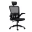 Sedia da ufficio ergonomica con supporto lombare e poggiatesta - Nera