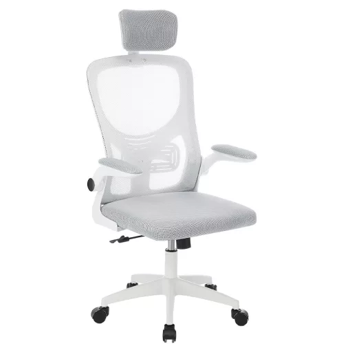 Sedia da ufficio ergonomica con supporto lombare e poggiatesta - Grigia