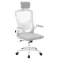 Sedia da ufficio ergonomica con supporto lombare e poggiatesta - Grigia