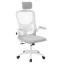 Sedia da ufficio ergonomica con supporto lombare e poggiatesta - Grigia