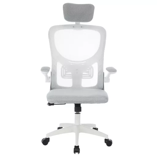Sedia da ufficio ergonomica con supporto lombare e poggiatesta - Grigia
