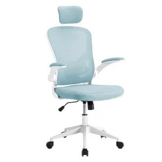  Sedia da ufficio ergonomica con supporto lombare e poggiatesta - Azzurro chiaro