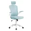 Sedia da ufficio ergonomica con supporto lombare e poggiatesta - Azzurro chiaro