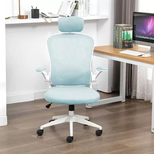 Sedia da ufficio ergonomica con supporto lombare e poggiatesta - Azzurro chiaro