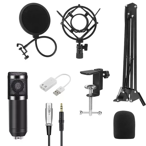 Microfono a Condensatore USB con Filtro Anti-Pop e Braccio Regolabile per Podcasting e Streaming
