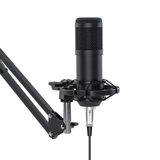 Microfono a Condensatore USB con Filtro Anti-Pop e Braccio Regolabile per Podcasting e Streaming