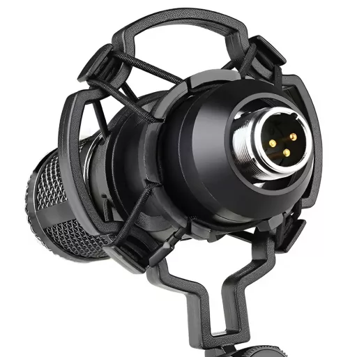 Microfono a Condensatore USB con Filtro Anti-Pop e Braccio Regolabile per Podcasting e Streaming
