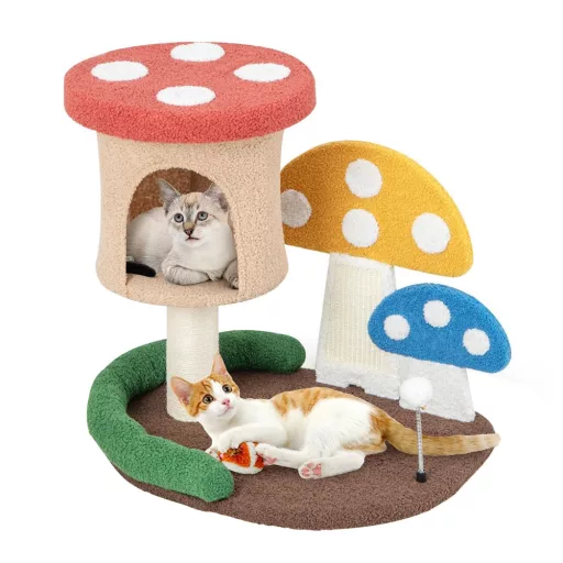 Funghi per Gatti da Arrampicata
