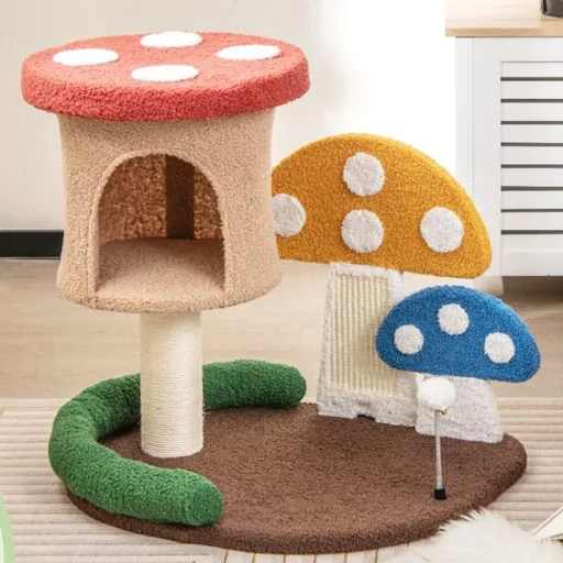 Funghi per Gatti da Arrampicata