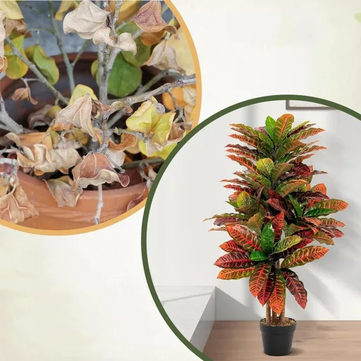 Pianta artificiale Kroton 100 cm