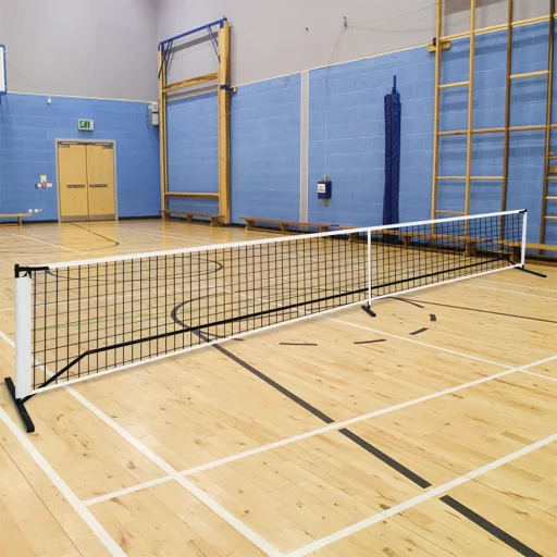 Rete da pickleball portatile con borsa da trasporto